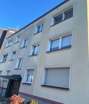 Fassadenreinigung Putzfassade Vorher