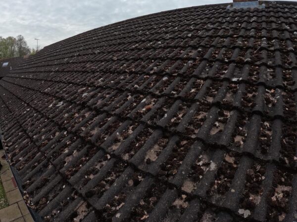 Warnsignale fürs Dach: Wann Sie handeln sollten, bevor’s teuer wird